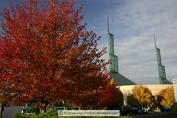 Oregon Convention Center Entrance,  Fall Leaves (Portland, Oregon)