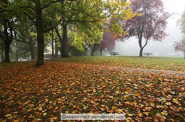 Irving Park, Fall Leaves, Portland