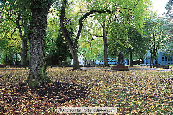 Chapman Square, Fall Leaves (Portland, Oregon)