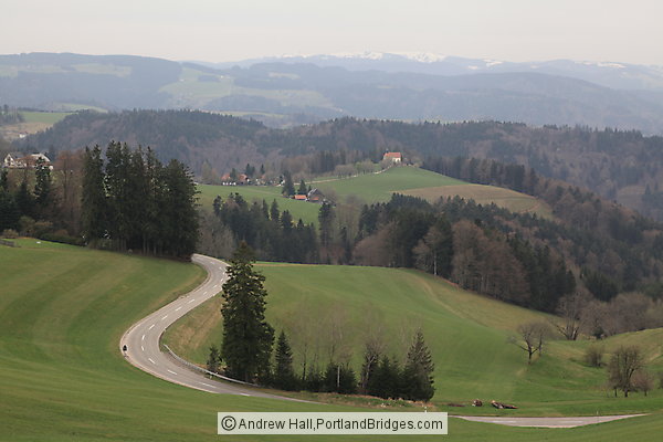 View from Hiking Trail, Black Forest