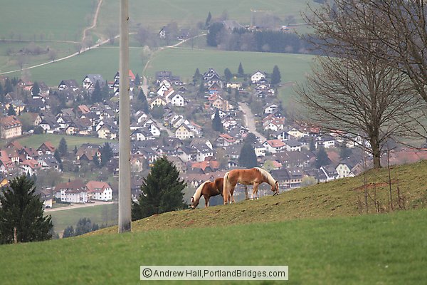 Approaching St. Peter, Horse Grazing, Black Forest