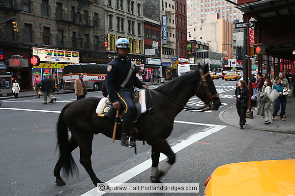 Policeman on horse, New York