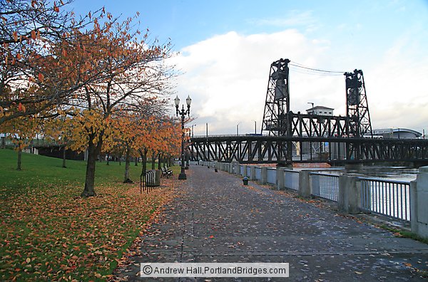 Steel Bridge, Fall Leaves (Portland, Oregon)