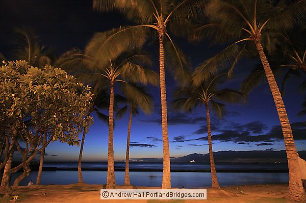 Oahu, Hawaii:  Waikiki Beach, Palm Trees, Dusk