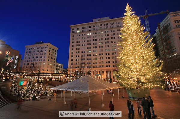 Pioneer Courthouse Square, Portland, Christmas Tree