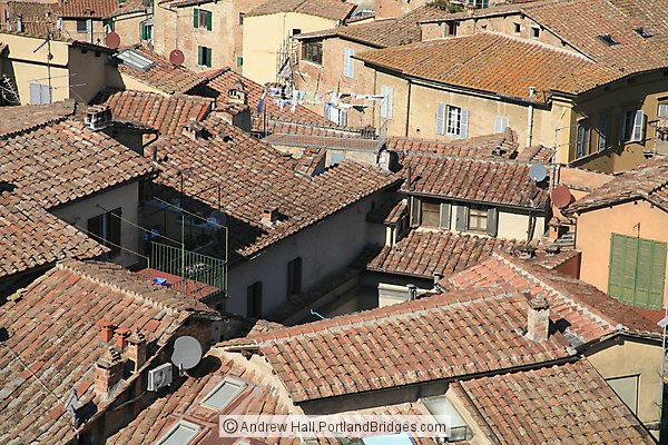 Houses in Siena
