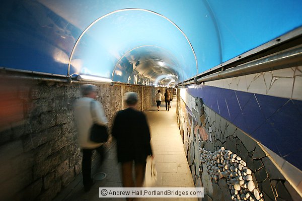Cinque Terre: Riomaggiore tunnel from train station to town