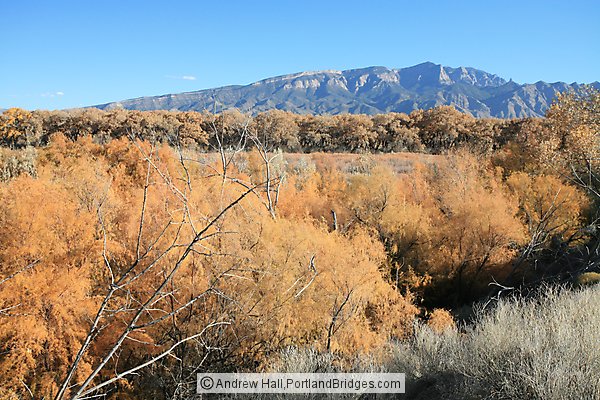 Coronado State Monument, Fall Leaves, Sandia Mountains, Albuquerque (Bernalillo) New Mexico