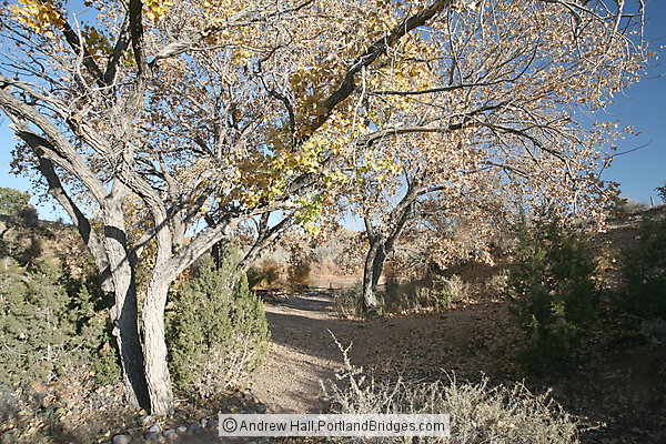 Coronado State Monument, Fall Leaves, Albuquerque (Bernalillo) New Mexico