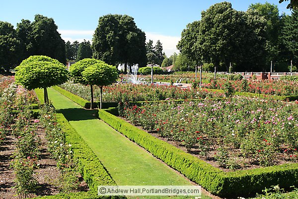 Peninsula Park Rose Garden, North Portland