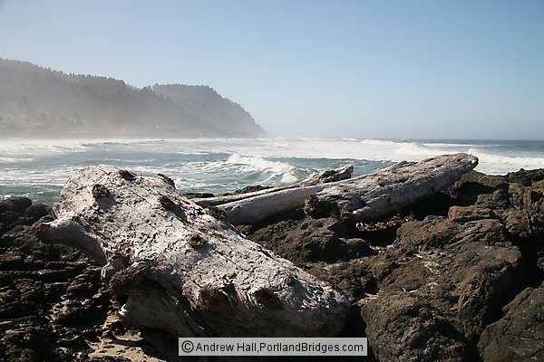 Oregon Coast California Redwoods