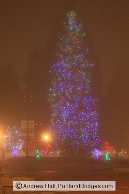 Esther Short Park Christmas Tree, Vancouver, WA