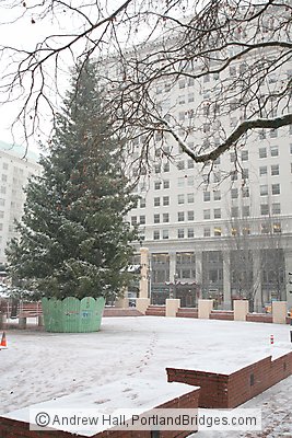 Pioneer Court House Square, Christmas Tree, Snow, December 2008 (Portland, Oregon)