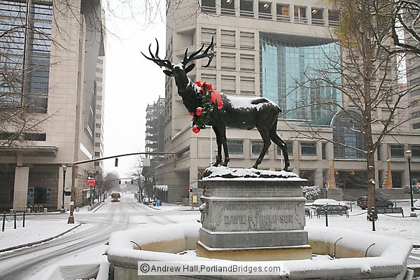 Thompson Elk Statue, Snow, Wreath, 2008 (Portland, Oregon)