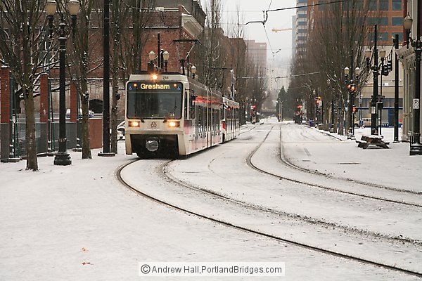 MAX Train in the snow, 2008 (Portland, Oregon)