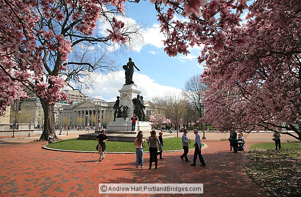 Lafayette Square, Spring Blossoms, US Treasury Building, Washington, DC