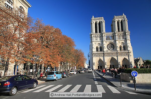 Notre-Dame Cathedral, Fall Trees, Paris