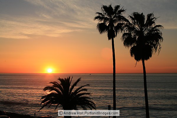 La Jolla, Palm Trees, Sunset