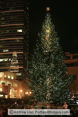 Portland Christmas Tree Lighting, 2010