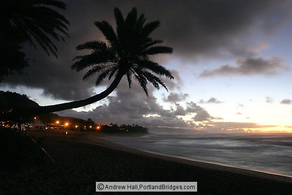 Oahu, Hawaii, North Shore, Sunset Beach, Sunset, Crooked Palm Tree