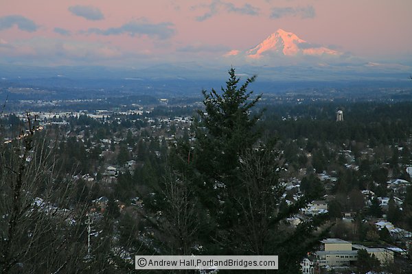 Mt. Hood