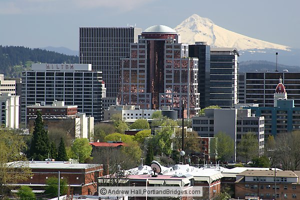 Portland Buildings and Mt. Hood, Daytime