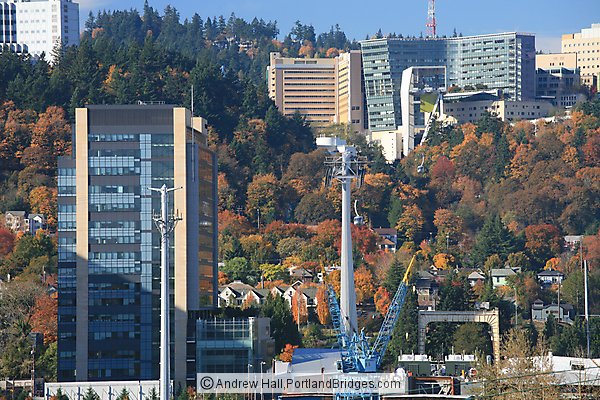 OHSU, Portland Aerial Tram, Fall Leaves