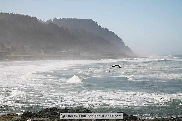 Yachats State Park