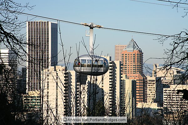 Portland Aerial Tram, Portland Buildings