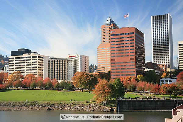 Waterfront, Fall Leaves, Portland Buildings