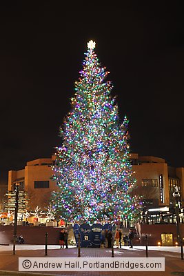2012 Portland Pioneer Courthouse Square Christmas Tree