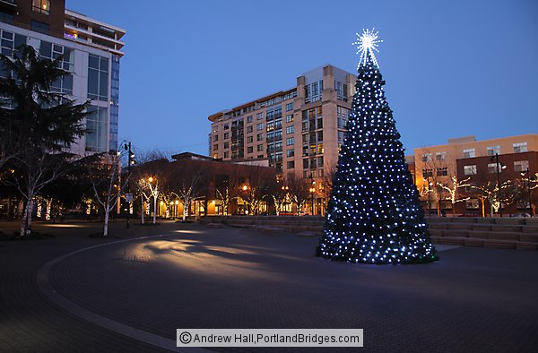 Christmas Tree 2014, Jamison Square, Pearl District, Portland