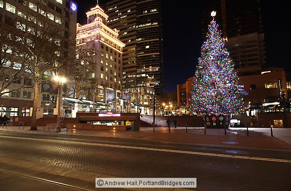 Pioneer Courthouse Square Christmas Tree 2014, Night, Portland