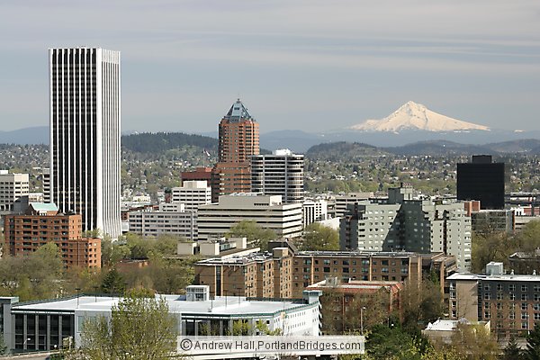 Mt. Hood, KOIN Tower, Wells Fargo Tower, Daytime (Portland, Oregon)