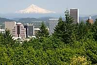 Portland City View, Mt. Hood, From Rose Garden 