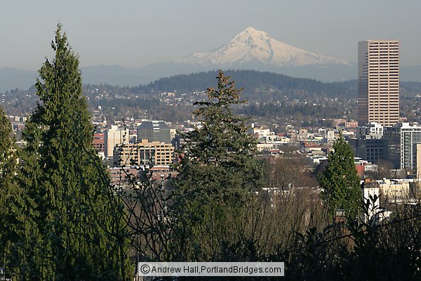 Mt. Hood, US Bancorp Tower, Trees (Portland, Oregon)