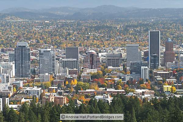 Downtown Buildings from Pittock Mansion (Portland, Oregon)