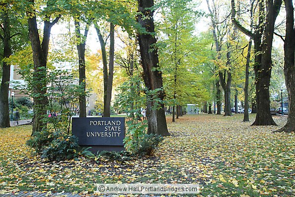 Portland State University, South Park Blocks, Fall Leaves