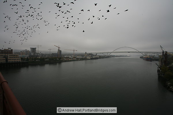 Portland Riverfront