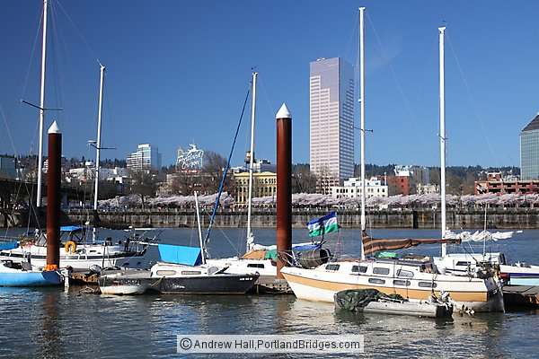 Boats, view of Downtown Portland from Eastbank Esplanade