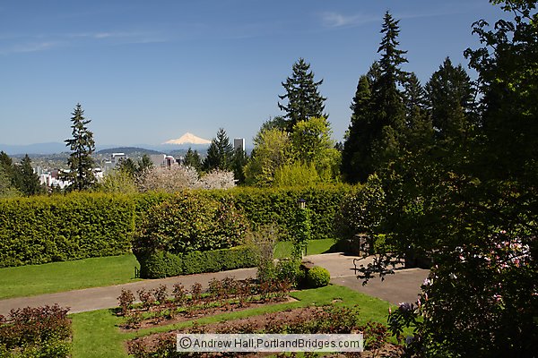 International Rose Test Garden, Mt. Hood, Mid-spring (before blooming) (Portland, Oregon)