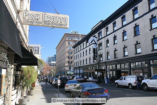 Fish Grotto, downtown Portland