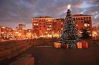 Portland Pearl District Jamison Square Christmas Tree 