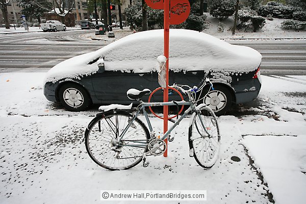Snow-covered Prius and Bicycle, Portland Snow 2008
