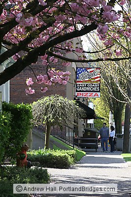 Northwest Portland, Tribute's Pizza, Spring Blossoms