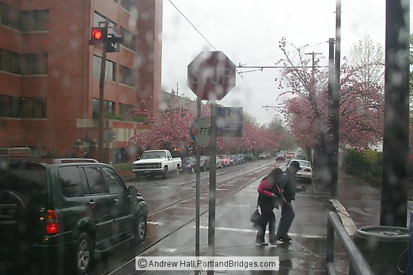 NW Portland, Rainy, Waiting for Streetcar