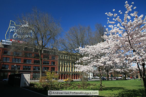 Portland, Oregon Sign, Spring Blossoms