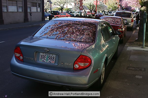 Car parked on street, Portland Chinatown