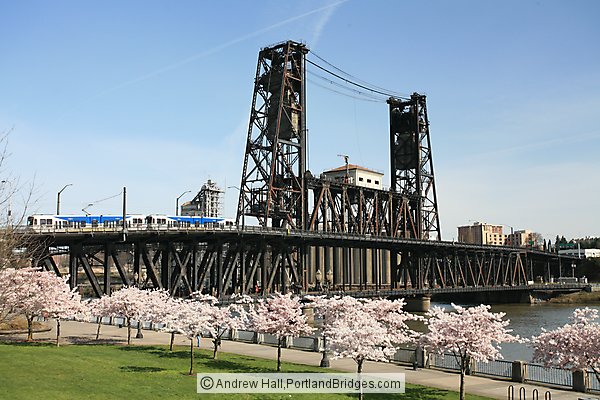 McCall Waterfront Park Blossoms, Steel Bridge (Portland, Oregon)
