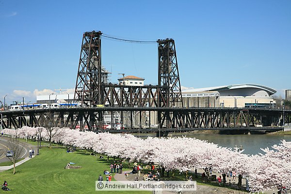 Waterfront Blossoms, Steel Bridge (Portland, Oregon)